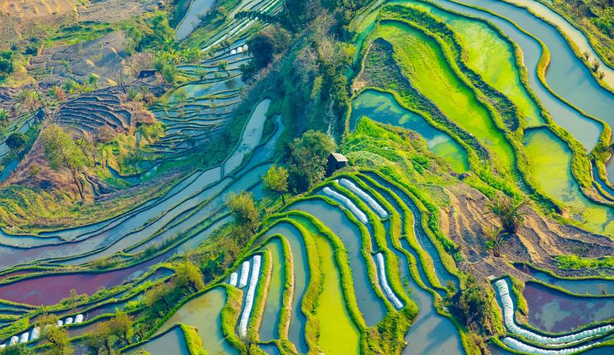 走进西丰县TVC拍摄：解锁本地化场景与创意镜头的完美融合